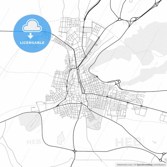 Vector PDF map of Puertollano, Spain