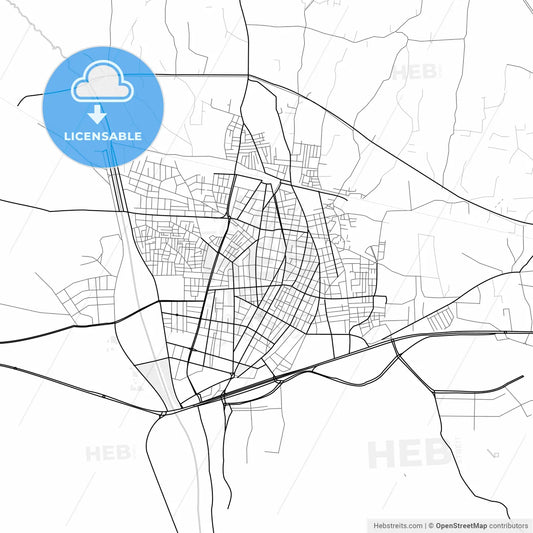 Vector PDF map of Turgutlu, Turkey