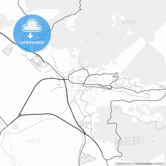 Vector PDF map of Niksar, Turkey