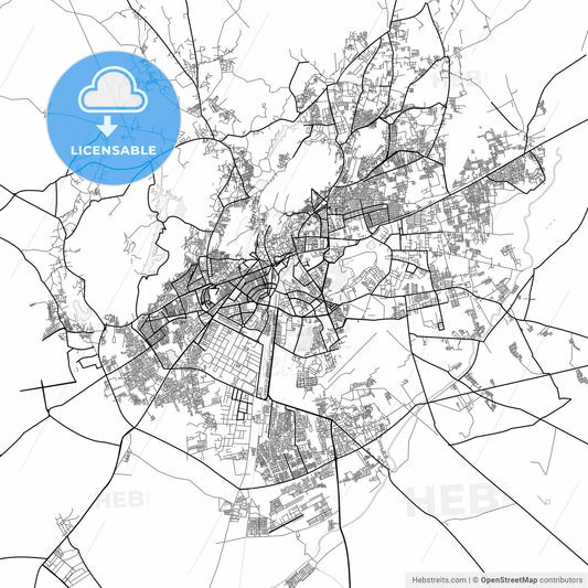 Vector PDF map of Jodhpur, India