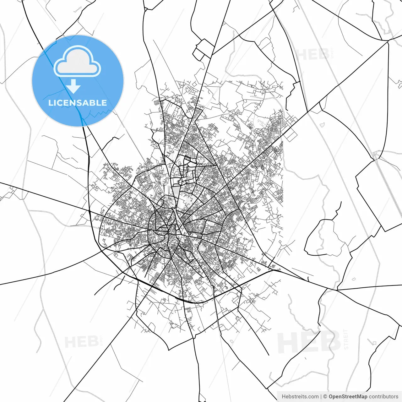 Vector PDF map of Aligarh, India
