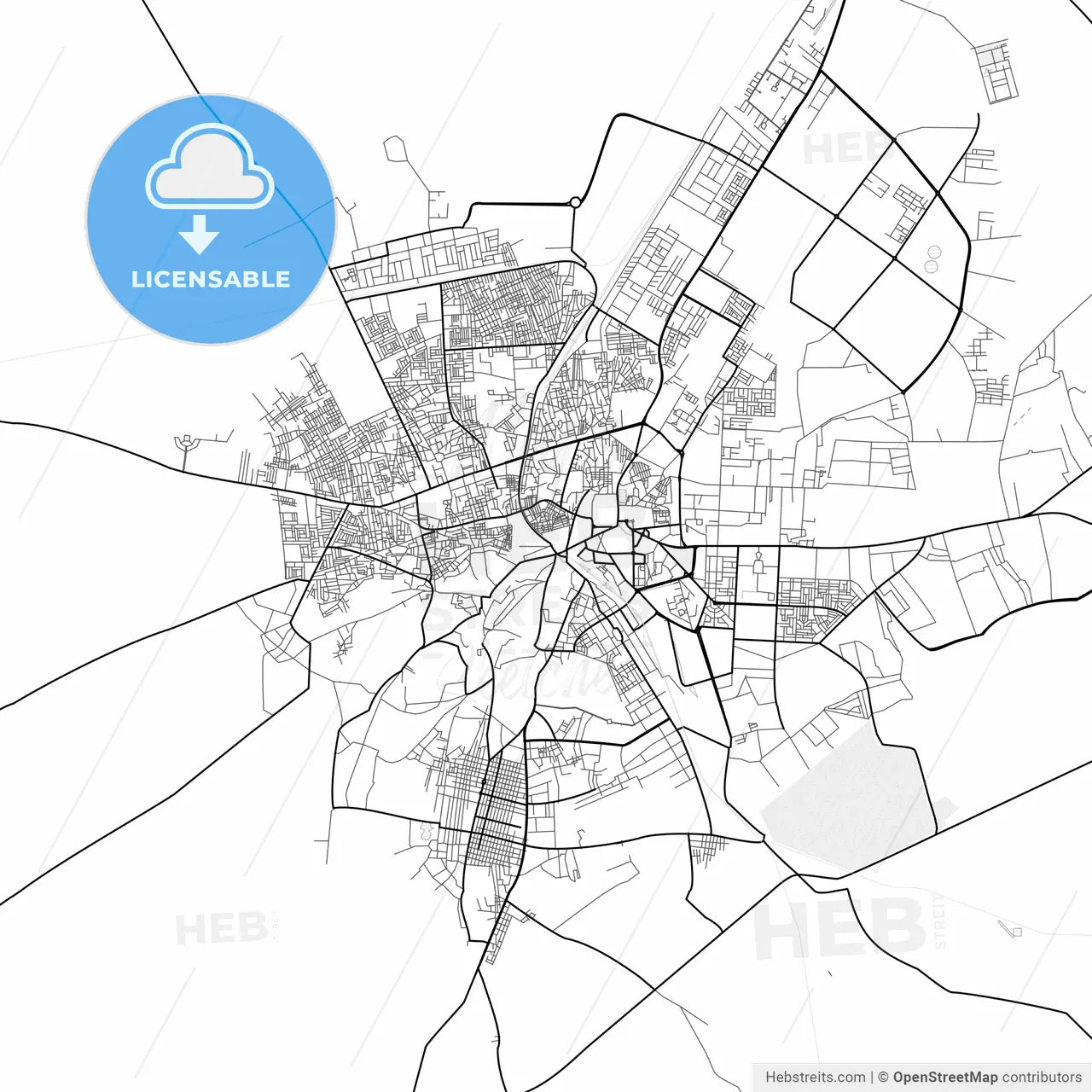 Vector PDF map of Bikaner, India