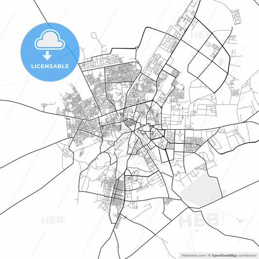 Vector PDF map of Bikaner, India