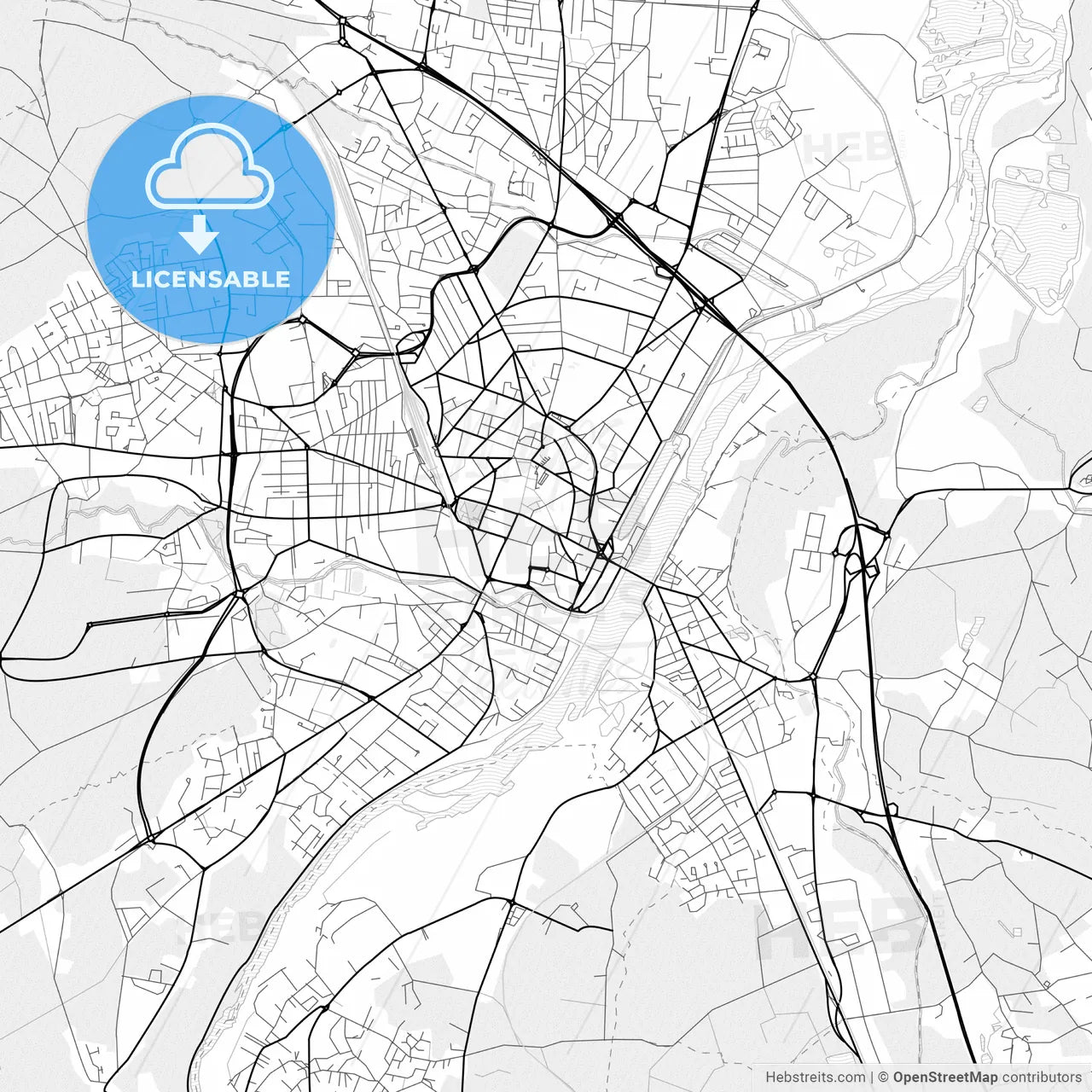 Vector PDF map of Roanne, France