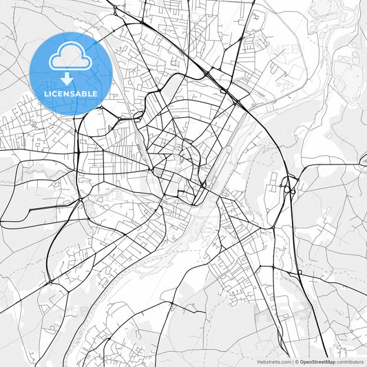 Vector PDF map of Roanne, France