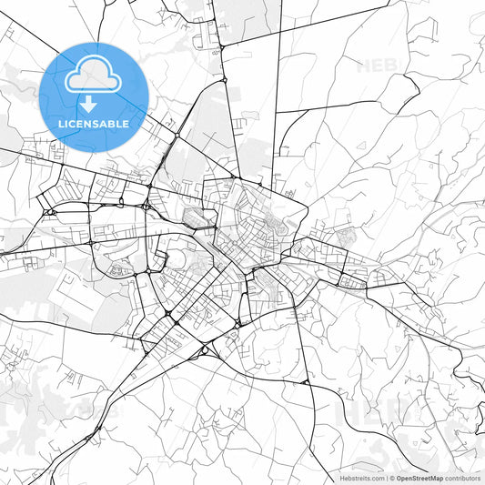 Vector PDF map of Arezzo, Italy