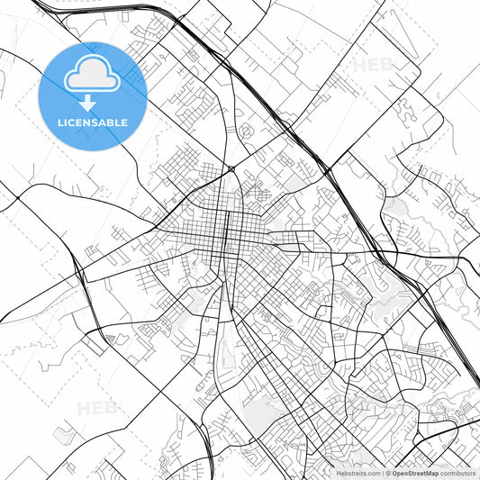 Vector PDF map of Bryan, Texas, United States