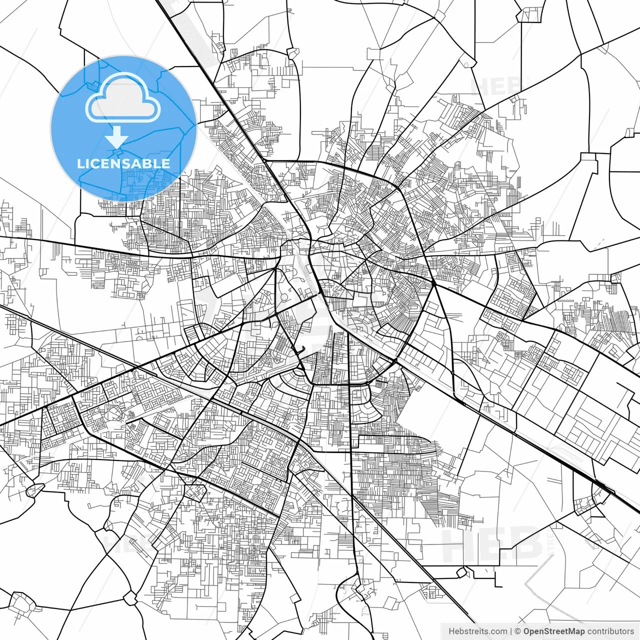Vector PDF map of Ludhiana, India