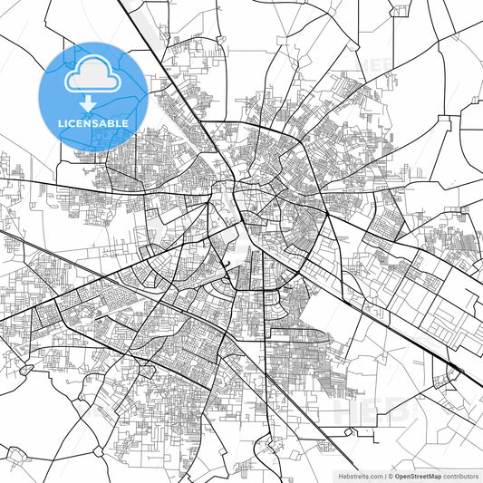 Vector PDF map of Ludhiana, India