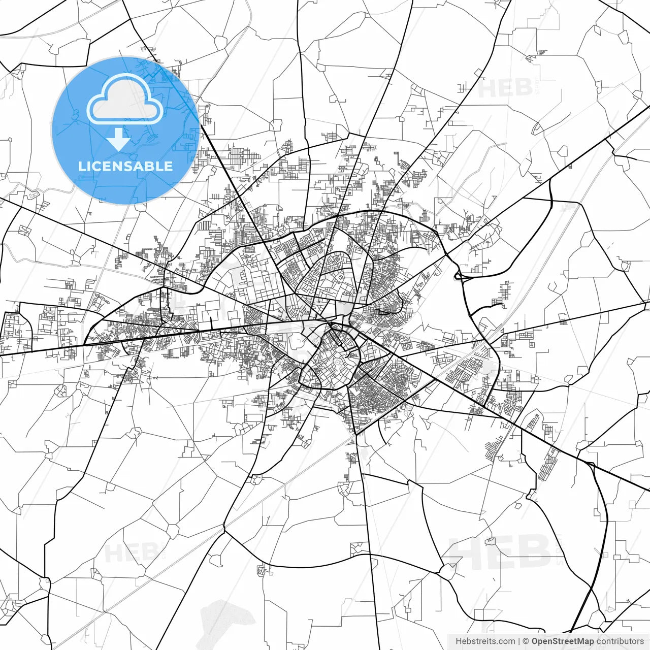 Vector PDF map of Amritsar, India