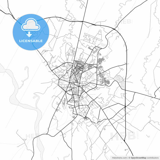 Vector PDF map of Bareilly, India