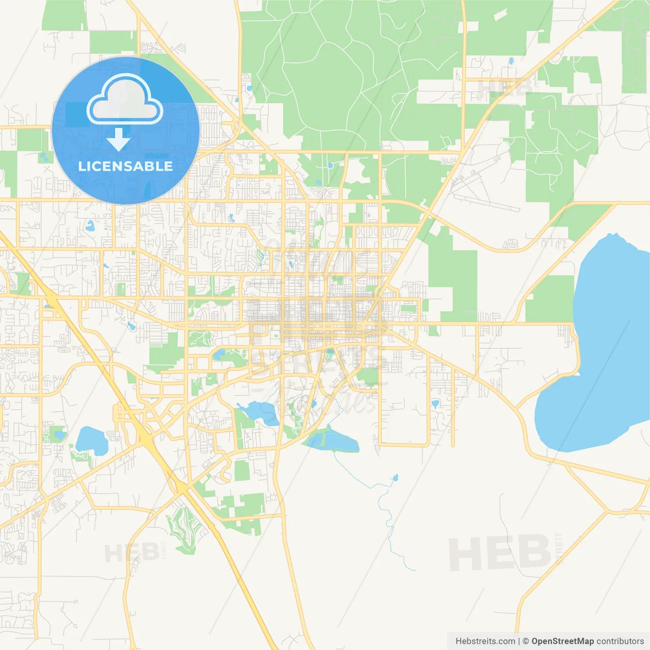 Empty vector map of Gainesville, Florida, USA