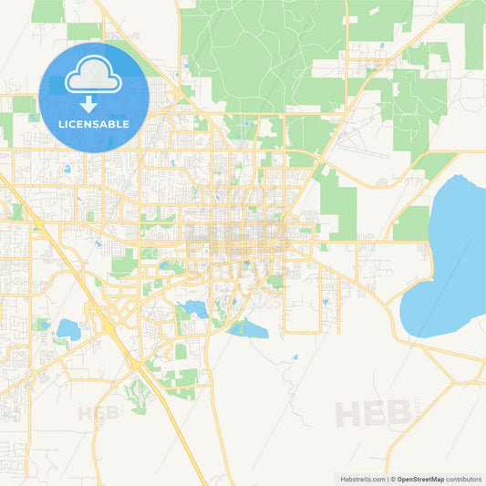 Empty vector map of Gainesville, Florida, USA