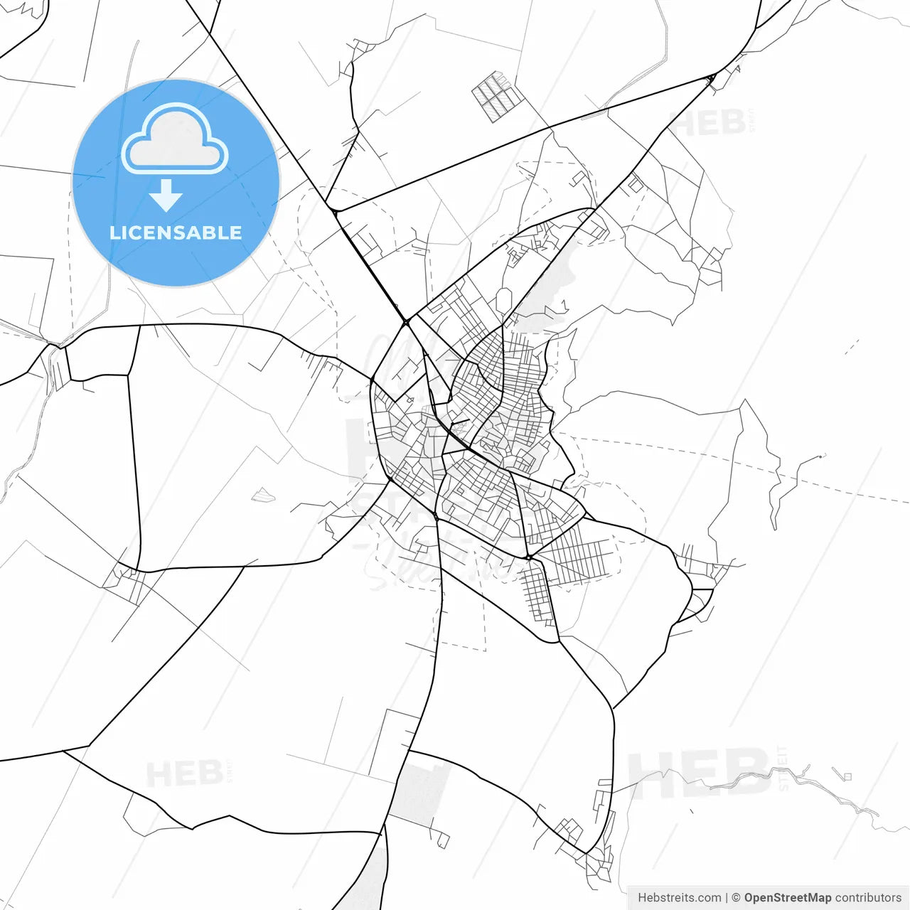 Vector PDF map of Korçë, Albania