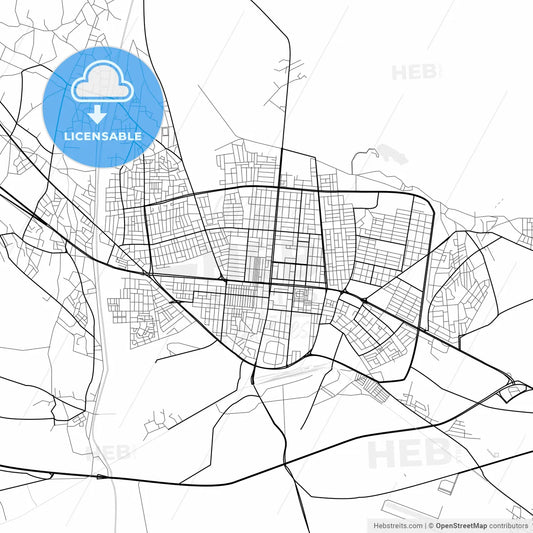 Vector PDF map of Erzincan, Turkey