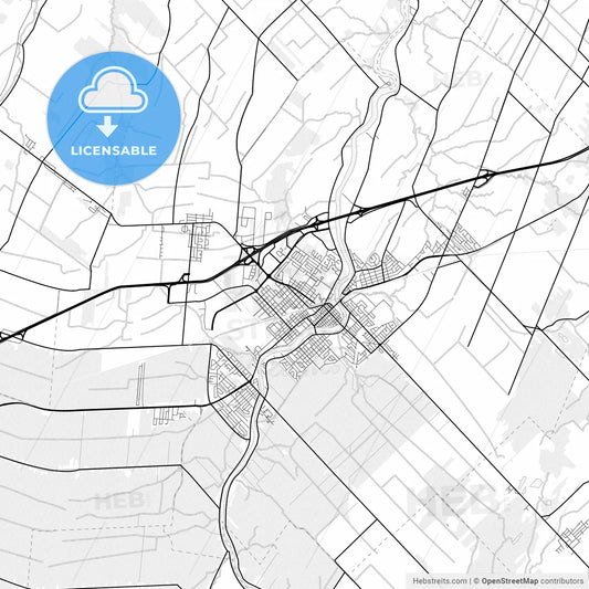 Vector PDF map of Saint-Hyacinthe, Canada