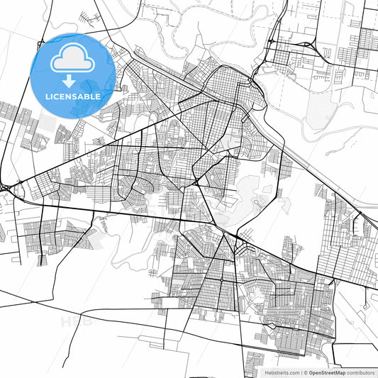 Vector PDF map of Reynosa, Mexico