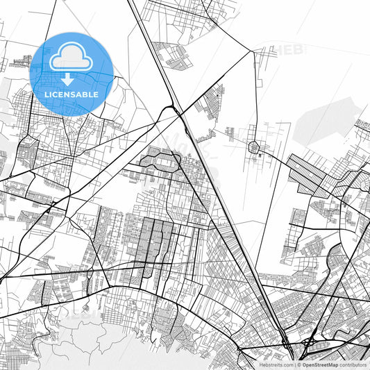 Vector PDF map of San Pablo de las Salinas, Mexico