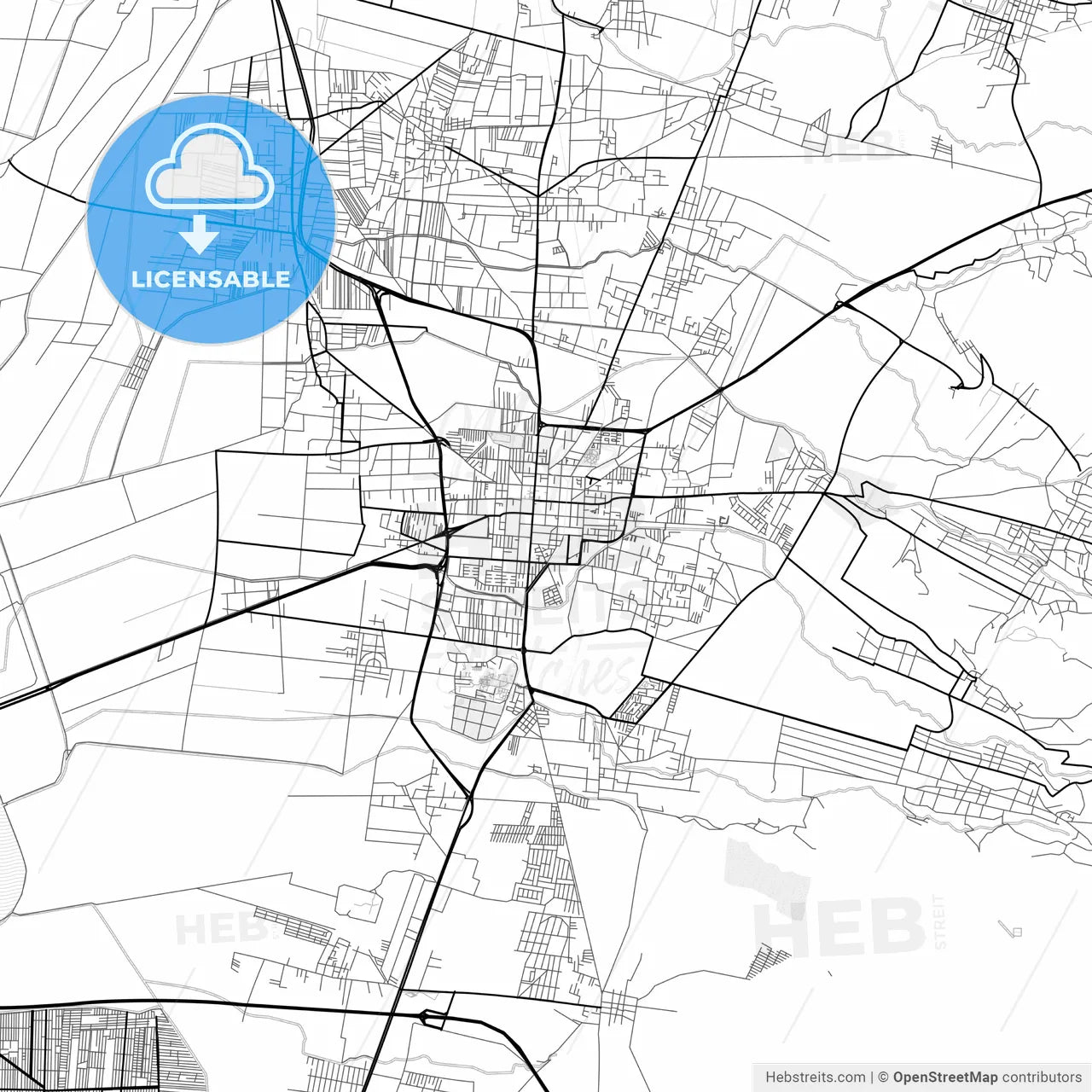 Vector PDF map of Texcoco, Mexico