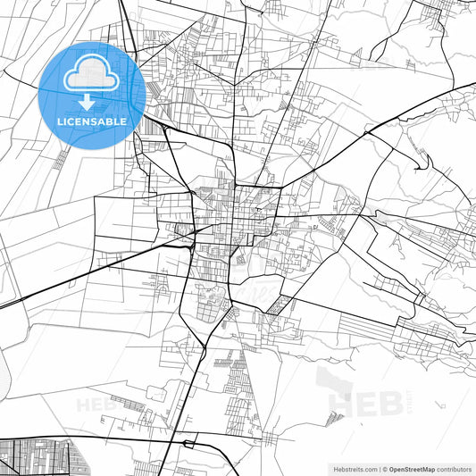 Vector PDF map of Texcoco, Mexico