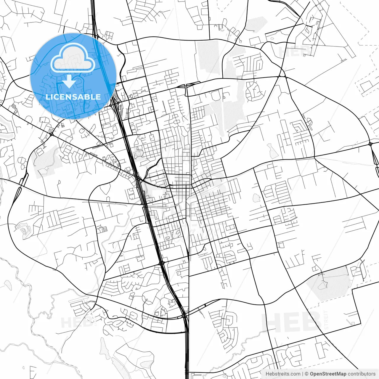 Vector PDF map of Conroe, Texas, United States