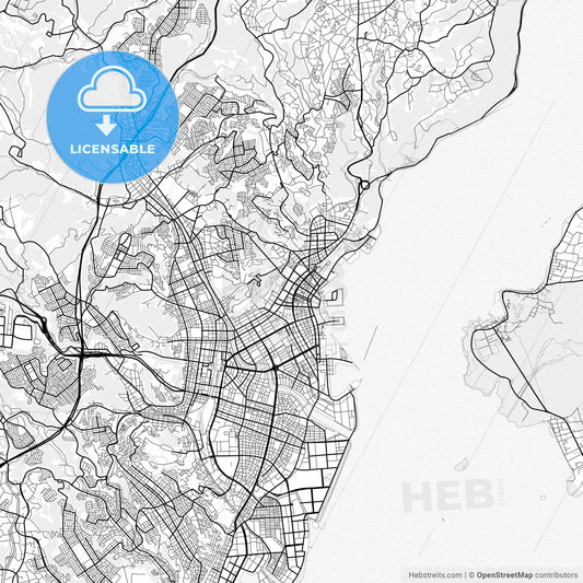 Vector PDF map of Kagoshima, Japan