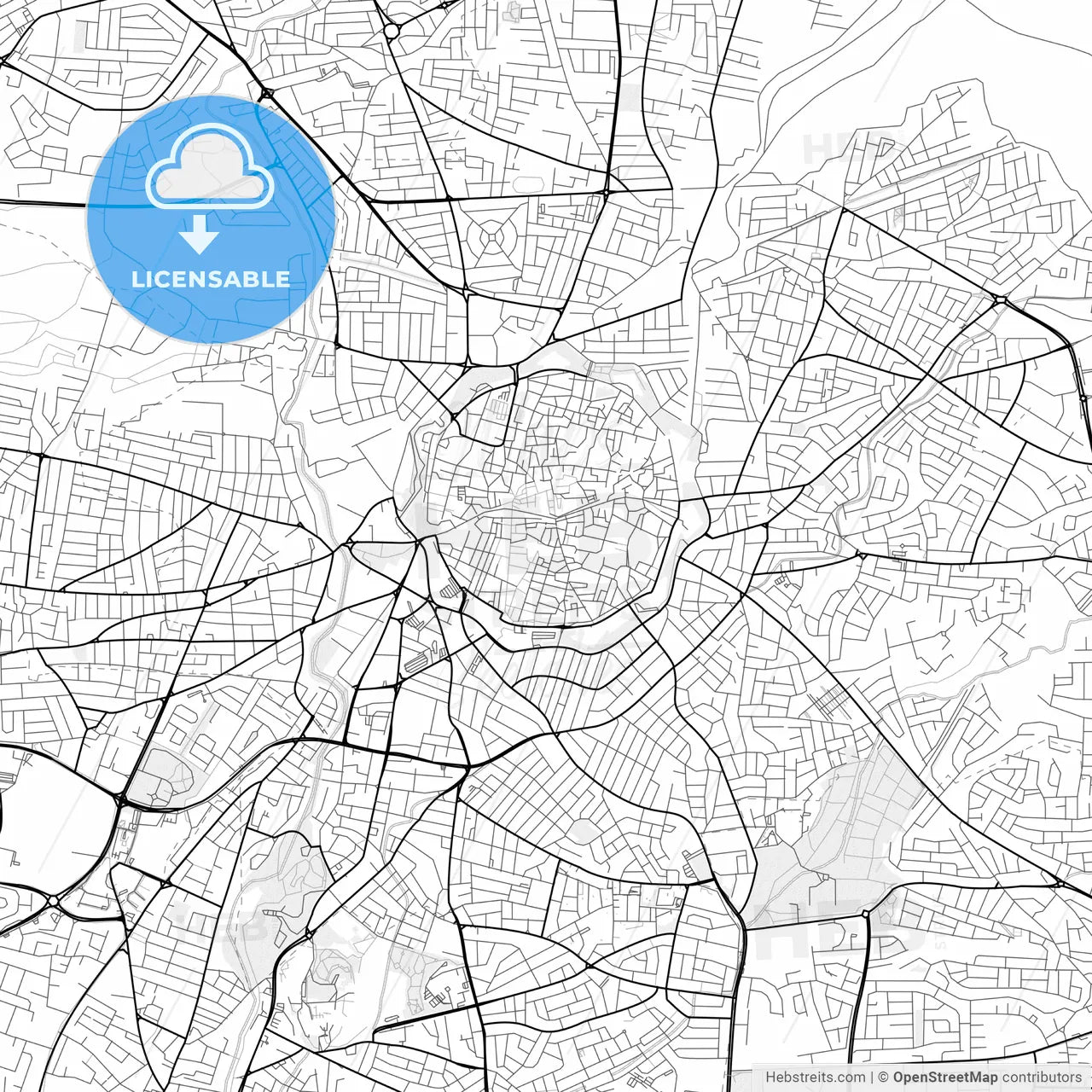 Vector PDF map of Nicosia  , Cyprus
