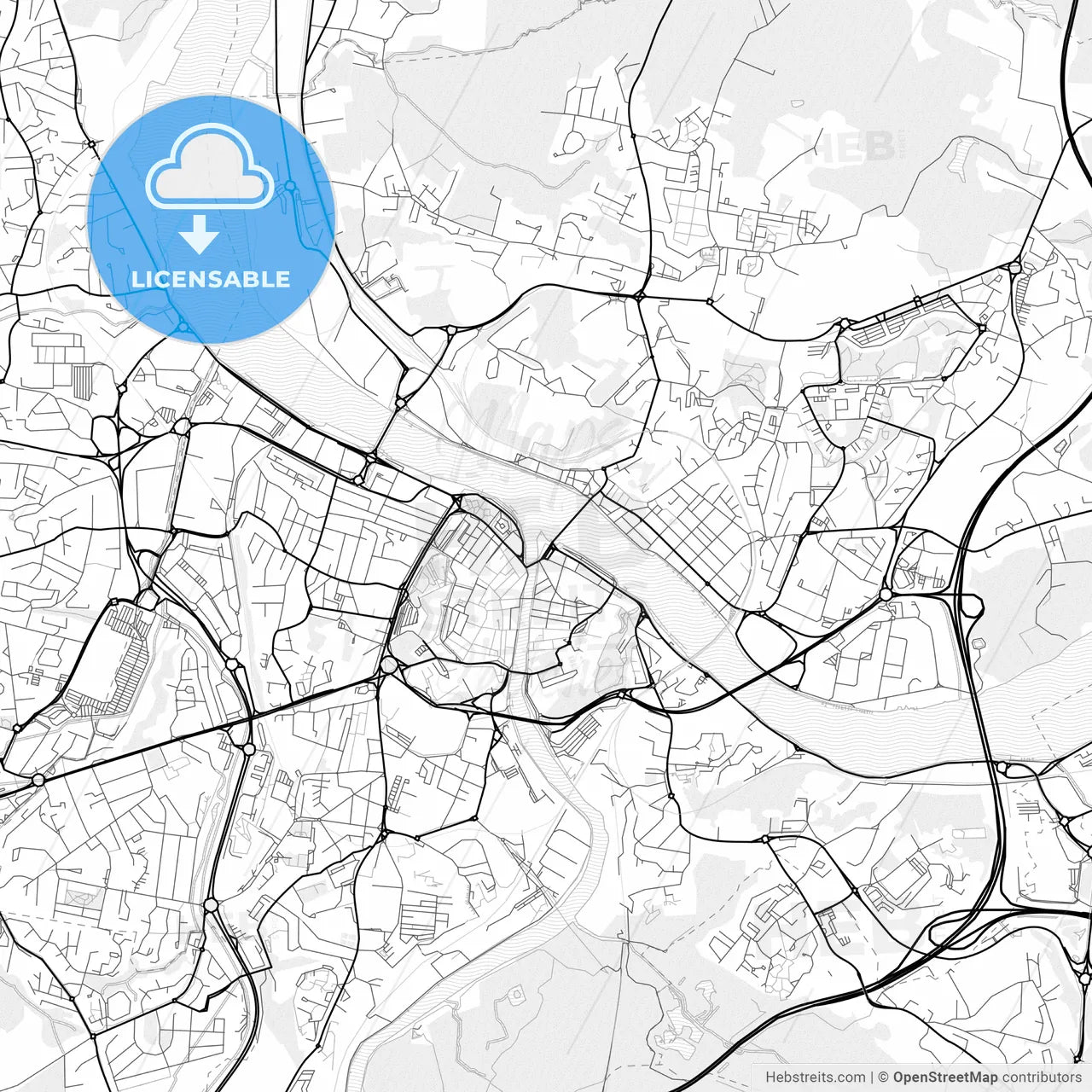 Vector PDF map of Bayonne, France