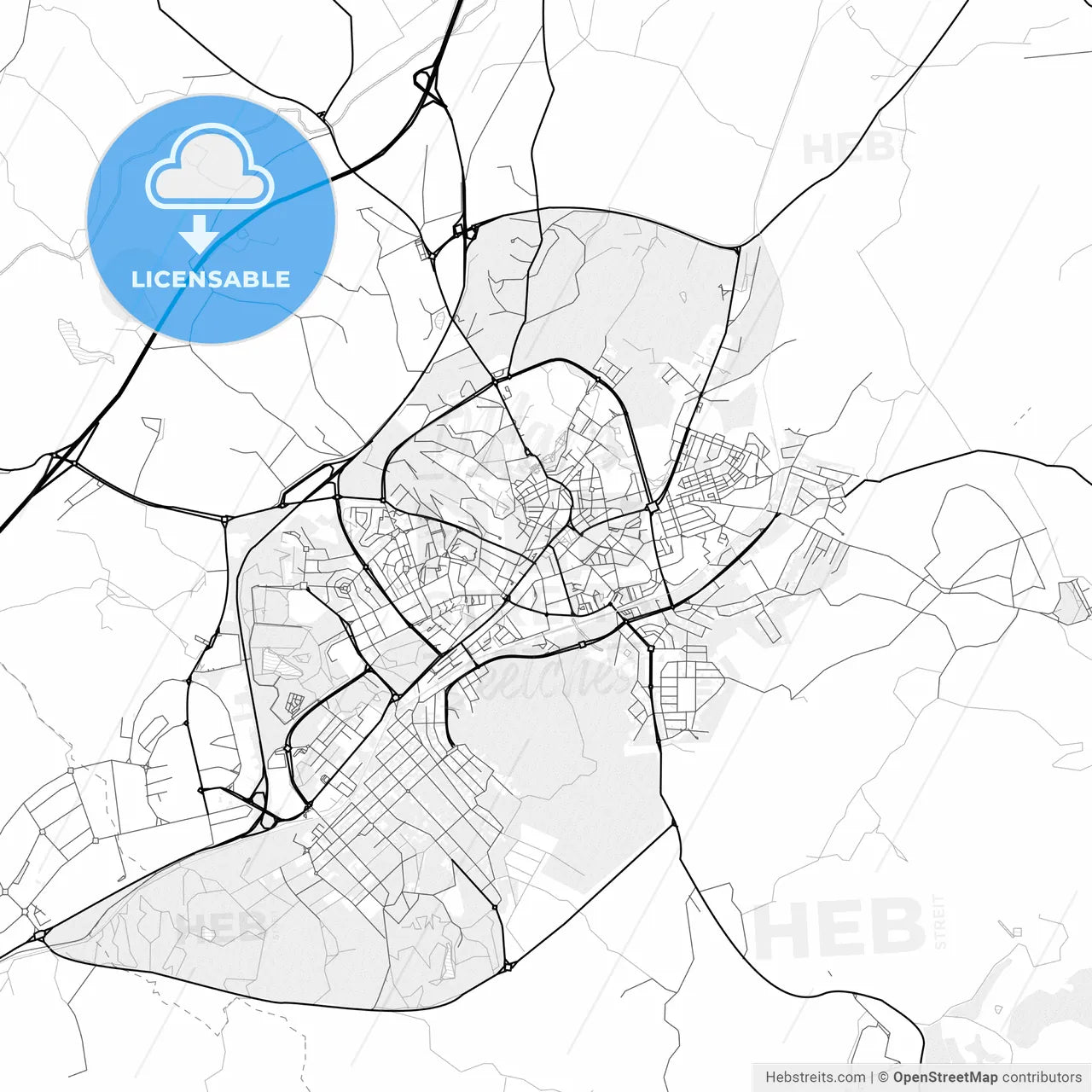 Vector PDF map of Castelo Branco, Portugal