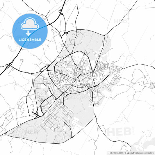 Vector PDF map of Castelo Branco, Portugal