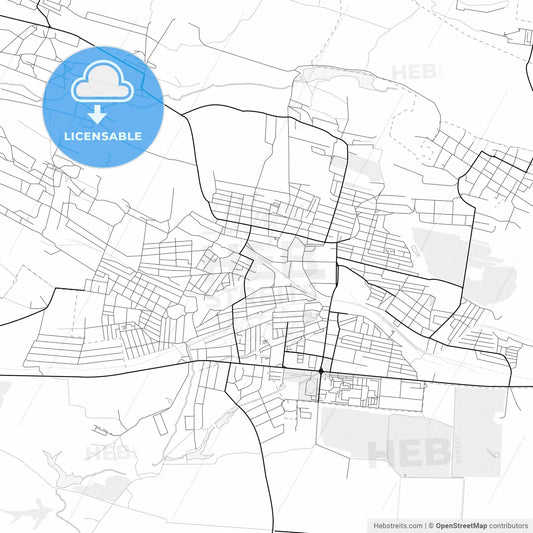 Vector PDF map of Shakhtarsk, Ukraine