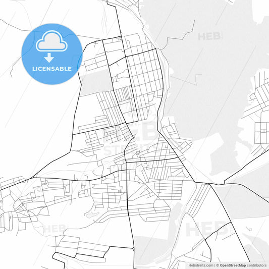 Vector PDF map of Snizhne, Ukraine