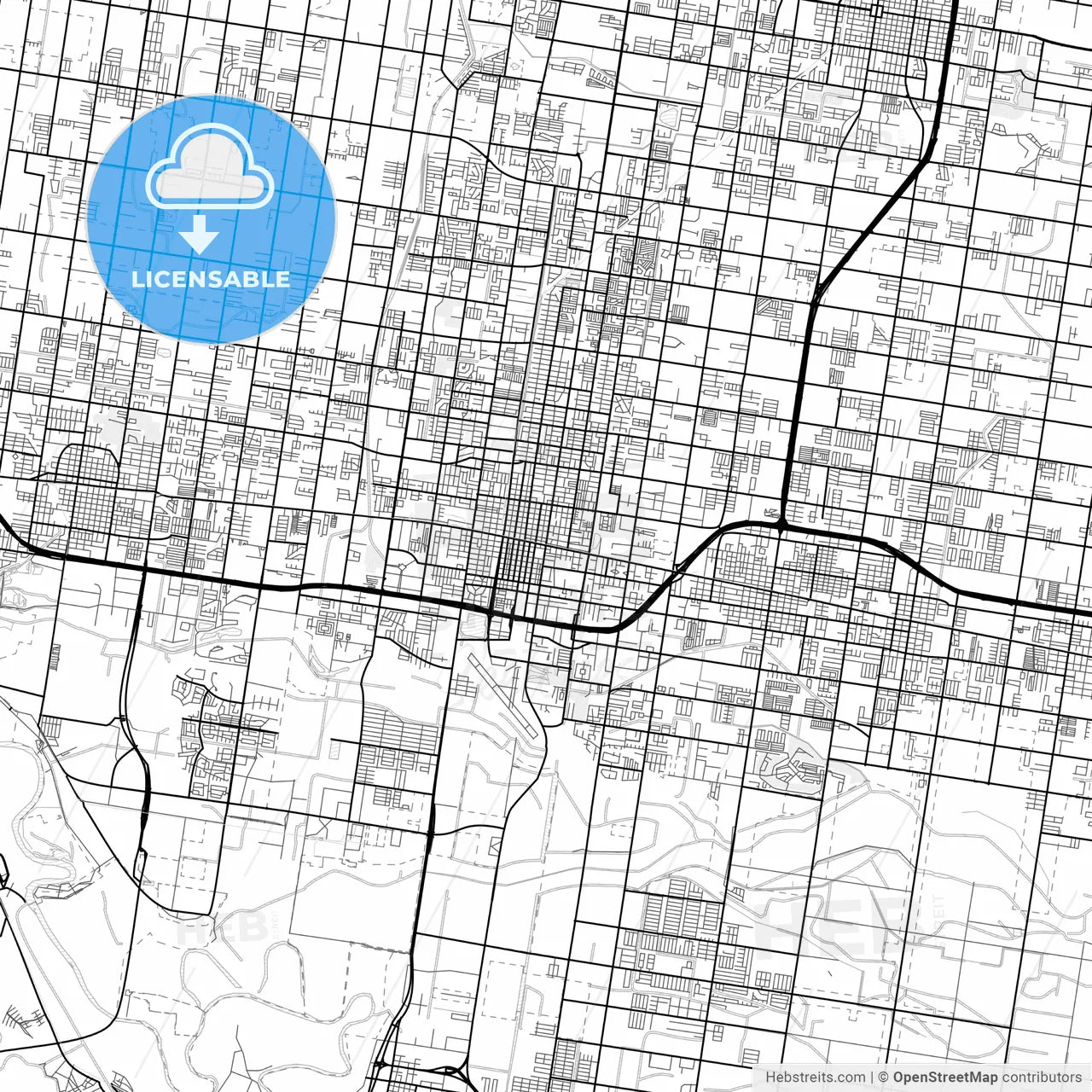 Vector PDF map of McAllen, Texas, United States