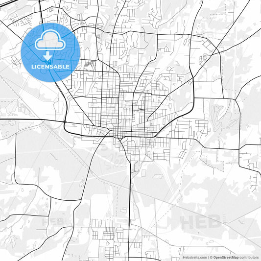 Vector PDF map of Jackson, Tennessee, United States