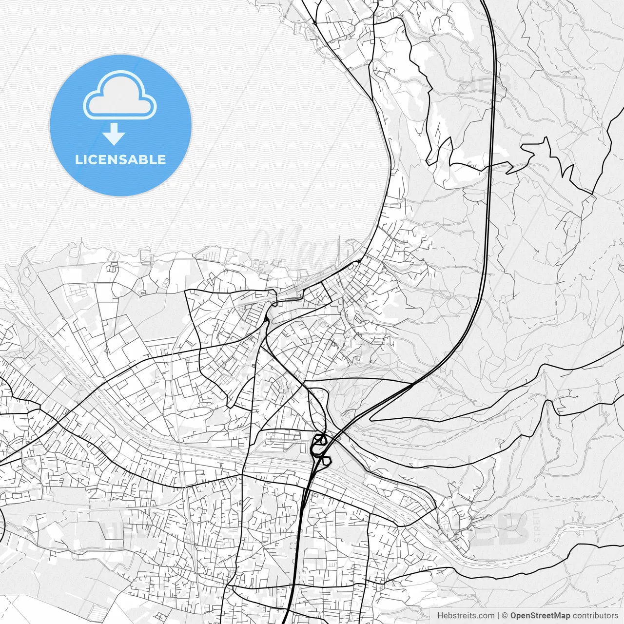 Vector PDF map of Bregenz, Austria