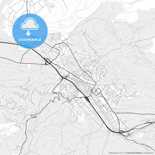 Vector PDF map of Bludenz, Austria