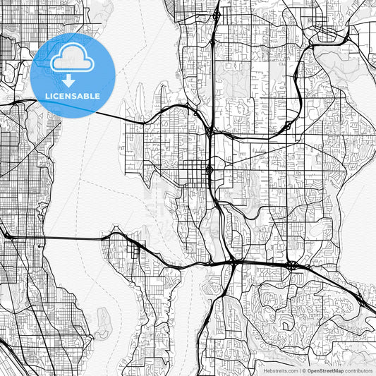 Vector PDF map of Bellevue, Washington, United States