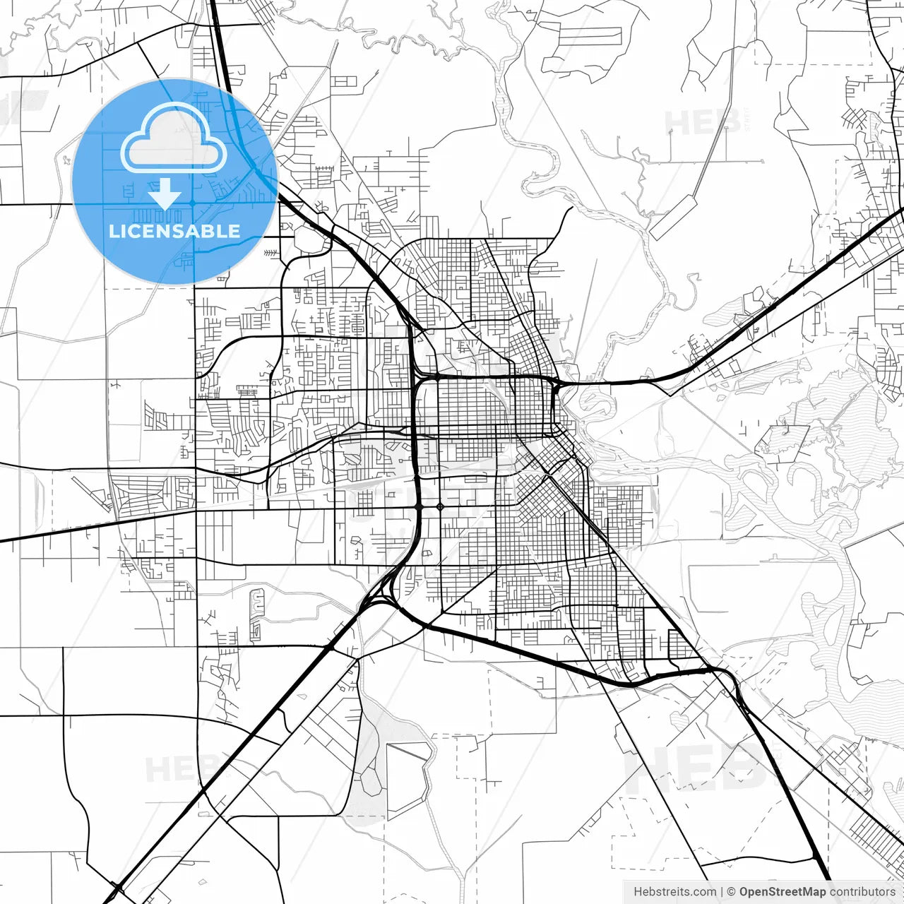Vector PDF map of Beaumont, Texas, United States