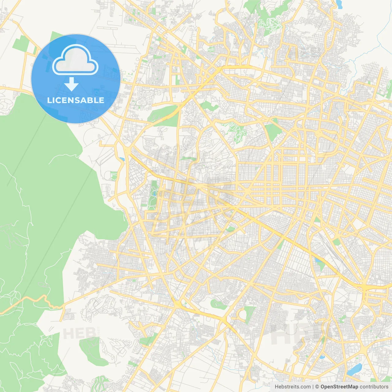 Empty vector map of León, Guanajuato, Mexico