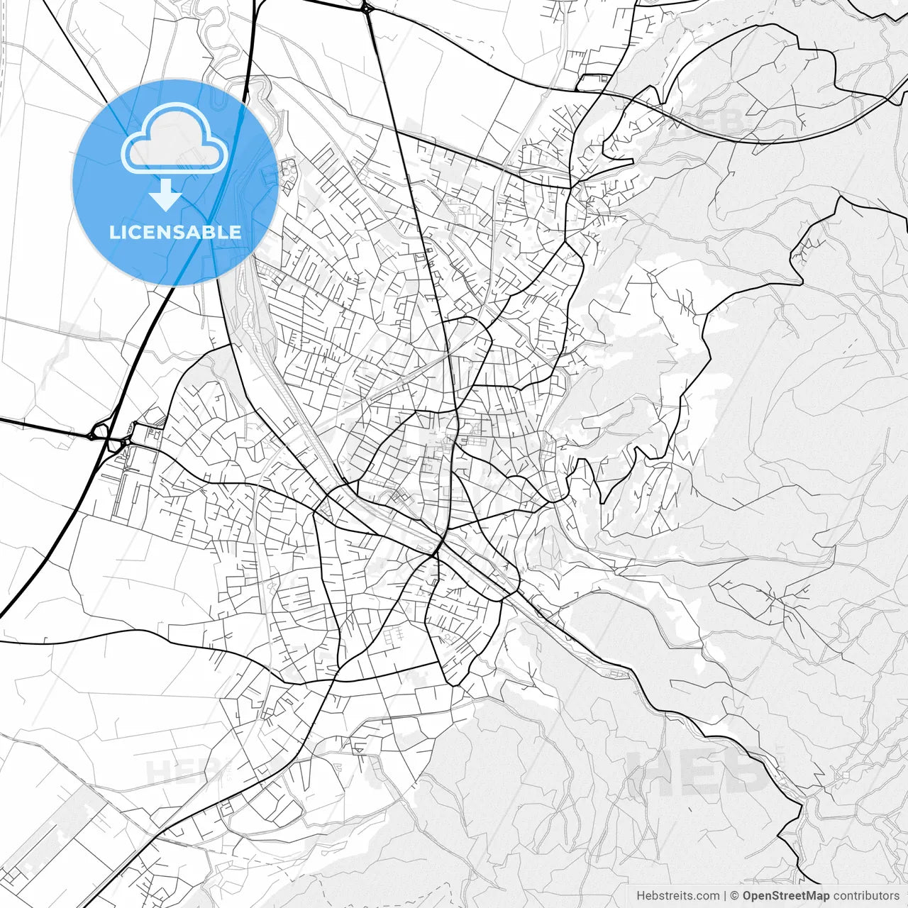 Vector PDF map of Dornbirn, Austria