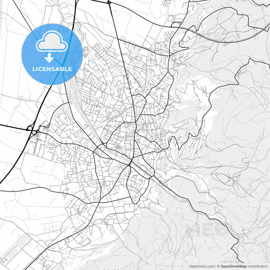Vector PDF map of Dornbirn, Austria