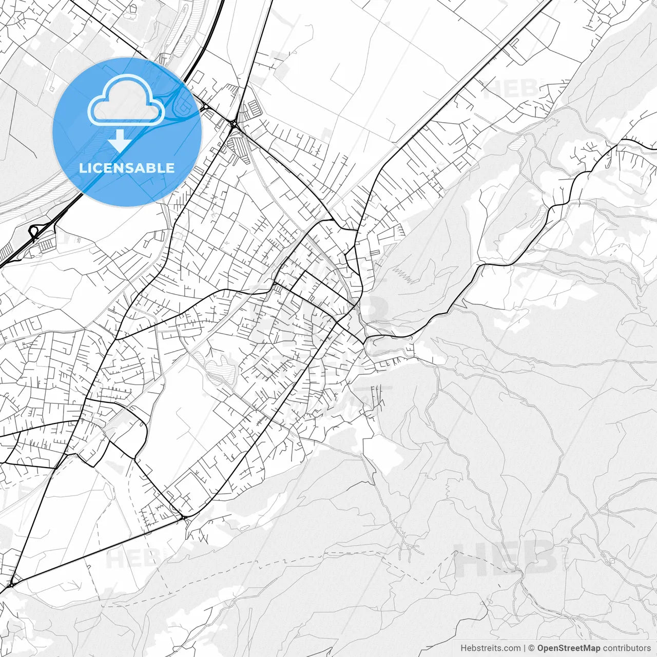 Vector PDF map of Hohenems, Austria
