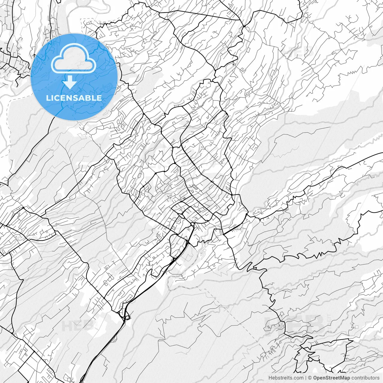 Vector PDF map of Le Tampon, France