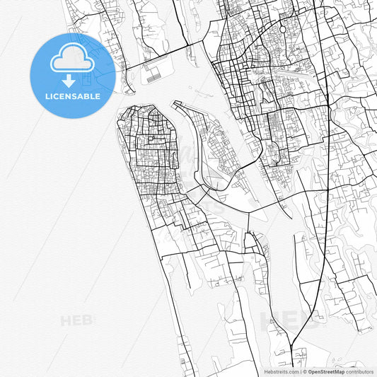 Vector PDF map of Kochi, India