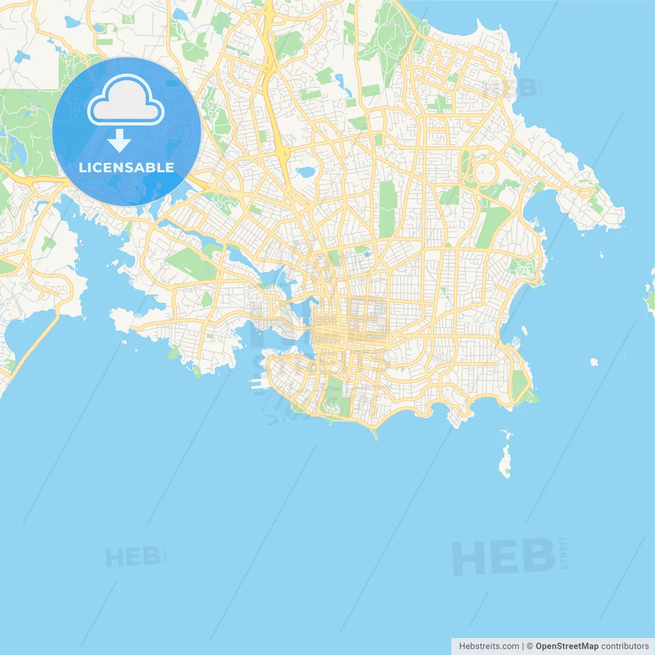 Empty vector map of Victoria, British Columbia, Canada