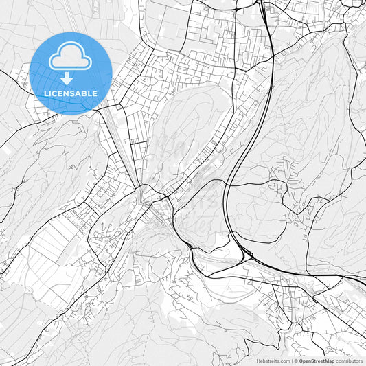Vector PDF map of Feldkirch, Austria