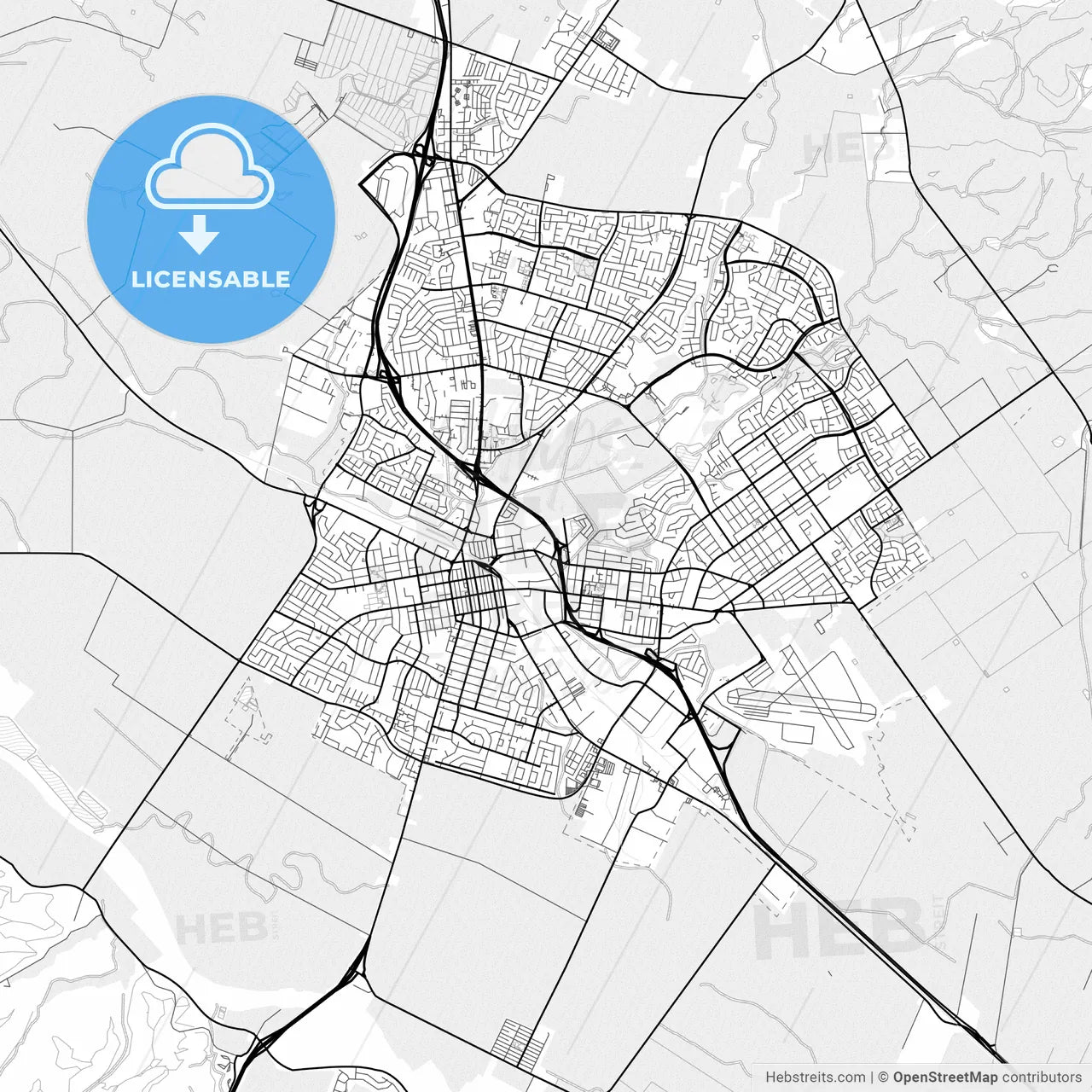 Vector PDF map of Salinas, California, United States
