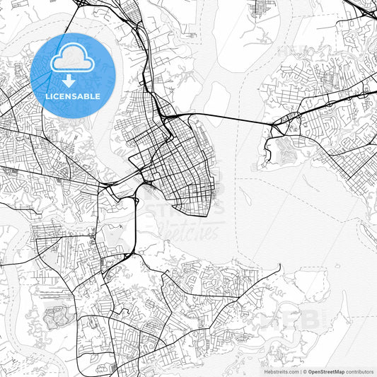 Vector PDF map of Charleston, South Carolina, United States