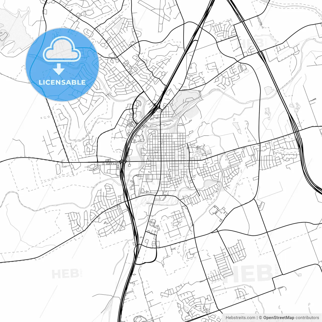 Vector PDF map of Georgetown, Texas, United States