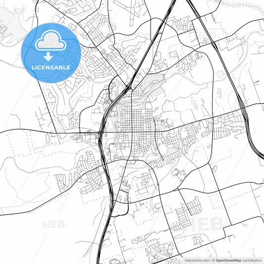 Vector PDF map of Georgetown, Texas, United States
